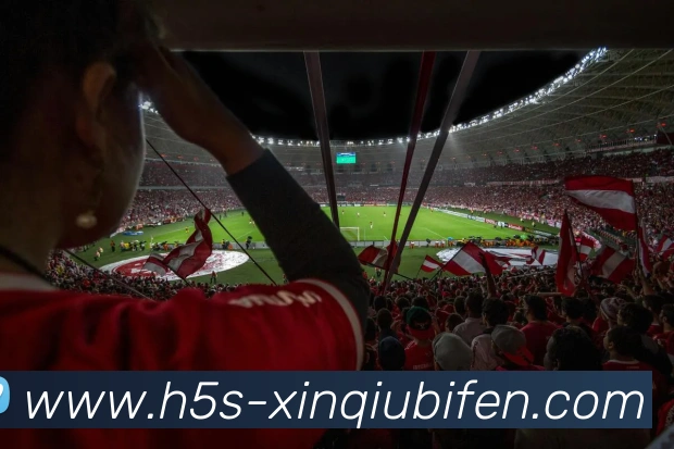 新球体育机构服务体系